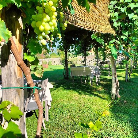 Badia Giulia Prestigious Historical B&B, Camaiore - Adults Only - No Pets Екстер'єр фото