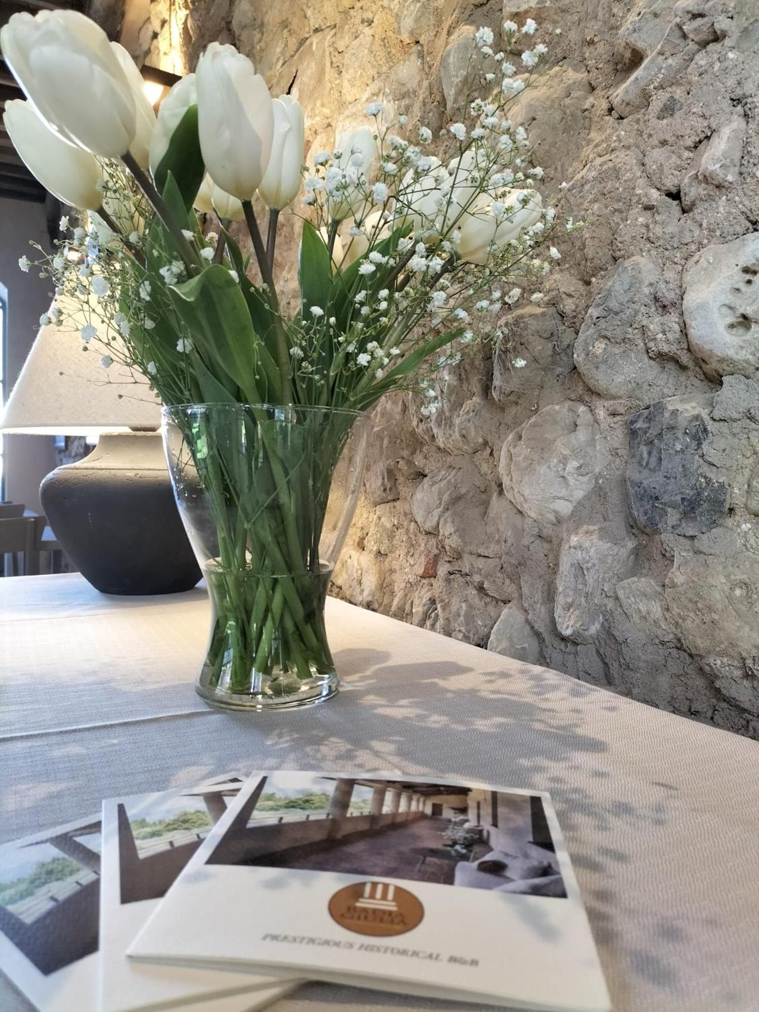 Badia Giulia Prestigious Historical B&B, Camaiore - Adults Only - No Pets Екстер'єр фото